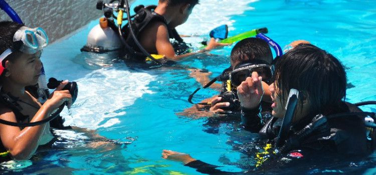 Island Marine Conservation With International Diving Certificate