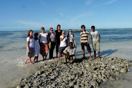 university volunteer group on rocks by the ocean