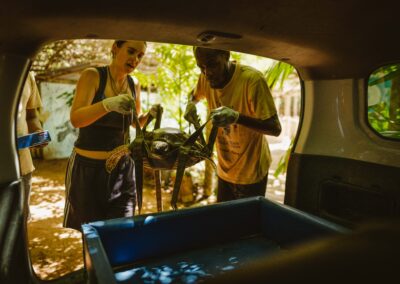 A man and a woman lift a turtle into the trunk of a car.