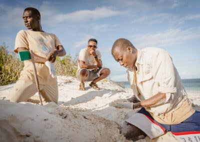 Three men looking at eggshells on the beach.