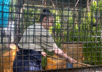 Volunteer cleaning an animal cage.